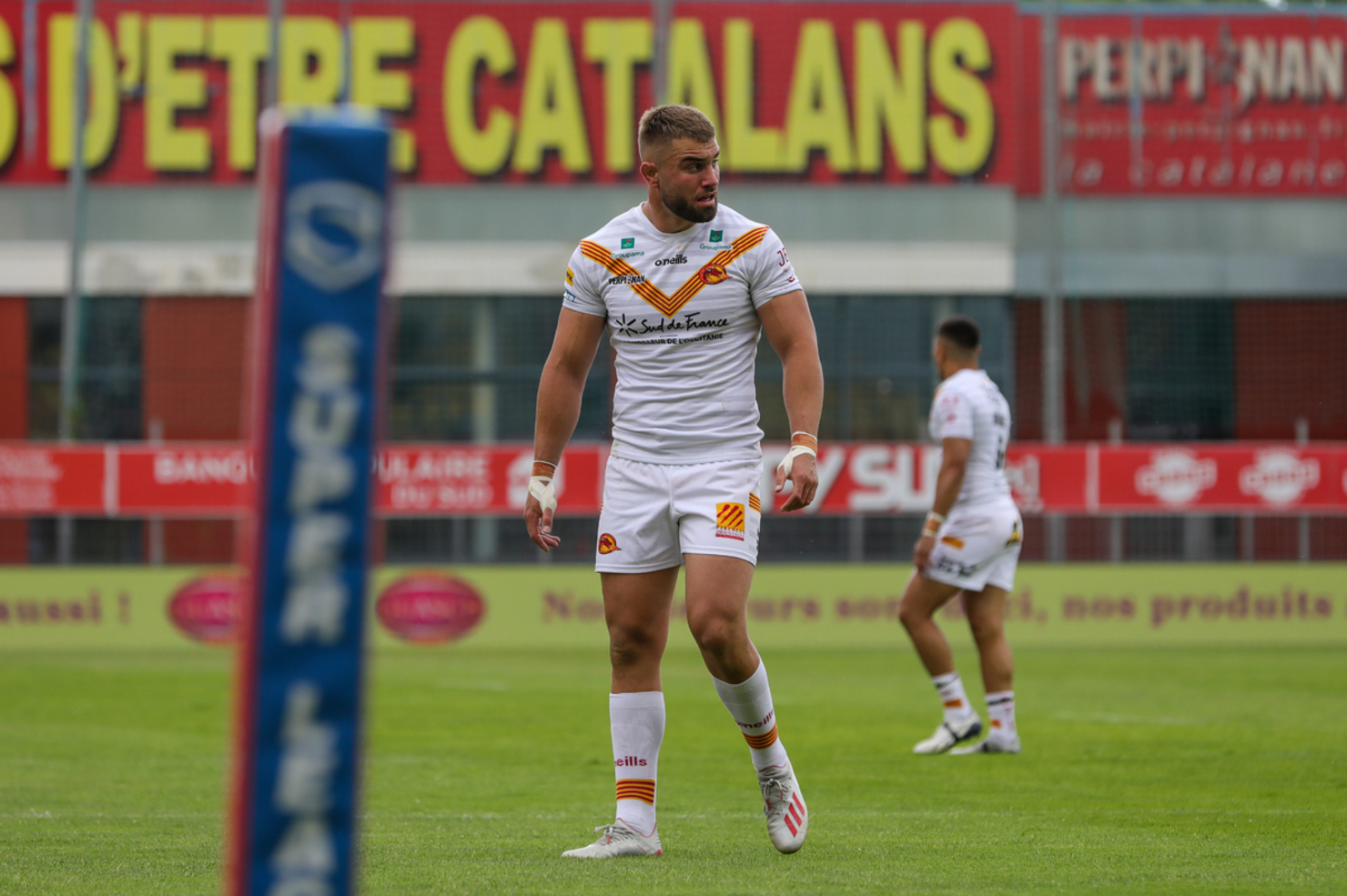 Maillot Rugby PANTHERS TOULOUGES XIII Porté N°13 - Dragons Catalans, Taille M